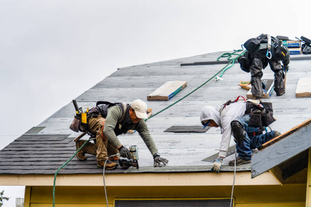 Professional Emergency Roof Repair technician working in Wishek, ND